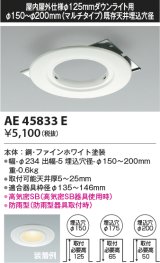 コイズミ照明　AE45833E　ダウンライト 軒下用リニューアルプレート 屋内屋外兼用 φ125 ダウンライト用 防雨型