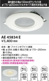 コイズミ照明　AE45834E　ダウンライト 軒下用リニューアルプレート 屋内屋外兼用 φ150 ダウンライト用 防雨型