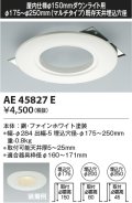 コイズミ照明　AE47874E　エクステリアライト スタンドタイプ専用別売スパイク