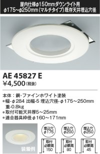 コイズミ照明　AE47874E　エクステリアライト スタンドタイプ専用別売スパイク