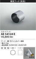 コイズミ照明　AE54124E　スヌートフード 防雨型 サテンシルバー