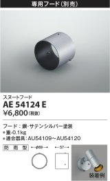 コイズミ照明　AE54124E　スヌートフード 防雨型 サテンシルバー