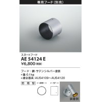 コイズミ照明　AE54124E　スヌートフード 防雨型 サテンシルバー