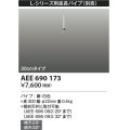 コイズミ照明　AEE690173　L-シリーズ用延長パイプ 30cmタイプ