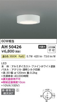 コイズミ照明　AH50426　小型シーリング LED一体型 非調光 温白色 直・壁取付 傾斜天井対応 ホワイト ￡