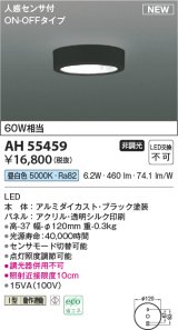 コイズミ照明 AH55459 小型シーリング 非調光 LED(昼白色) 人感センサ付 ON-OFFタイプ ブラック