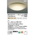 コイズミ照明 AH55715 シーリングライト 12畳 調光 リモコン別売 電球色