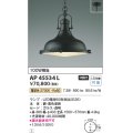 コイズミ照明　AP45534L　ペンダント フランジタイプ 白熱球100W相当 LED付 電球色 黒色塗装