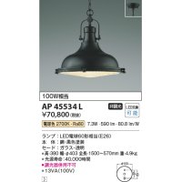 コイズミ照明　AP45534L　ペンダント フランジタイプ 白熱球100W相当 LED付 電球色 黒色塗装