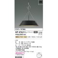 コイズミ照明　AP47621L　ペンダント LED一体型 電球色 フランジ マットブラック塗装 [♭]