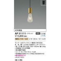 コイズミ照明　AP51111　ペンダントライト 非調光 LEDランプ 電球色 フランジタイプ 真鍮