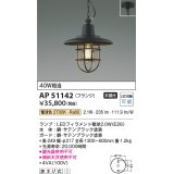 コイズミ照明　AP51142　ペンダントライト 非調光 LEDランプ 電球色 フランジタイプ ブラック