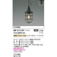コイズミ照明　AP51147　ペンダントライト 非調光 LEDランプ 電球色 プラグタイプ ブラック