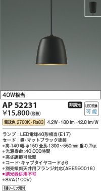コイズミ照明　AP52231　ペンダントライト LEDランプ交換可能型 非調光 フランジタイプ 電球色 マットブラック [♭]