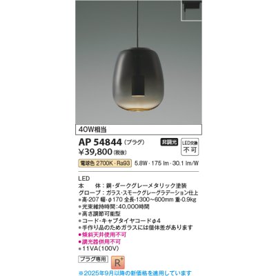 画像1: コイズミ照明 AP54844 ペンダント 非調光 LED一体型 電球色 プラグタイプ スモークグレーグラデーション