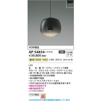 画像1: コイズミ照明 AP54854 ペンダント 非調光 LED一体型 温白色 プラグタイプ スモークグレーグラデーション