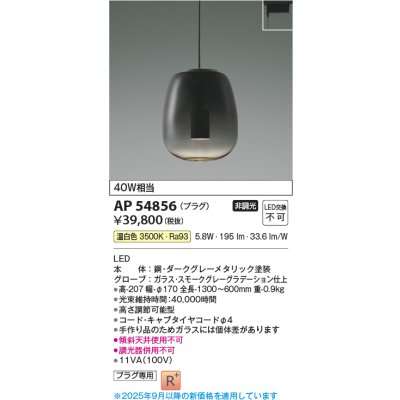 画像1: コイズミ照明 AP54856 ペンダント 非調光 LED一体型 温白色 プラグタイプ スモークグレーグラデーション