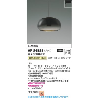 画像1: コイズミ照明 AP54858 ペンダント 非調光 LED一体型 温白色 プラグタイプ スモークグレーグラデーション