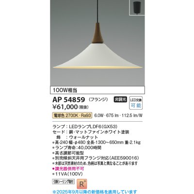 画像1: コイズミ照明 AP54859 ペンダント 非調光 LED 電球色 フランジタイプ マットファインホワイト