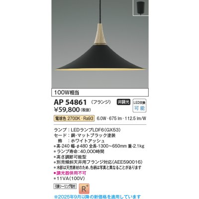 画像1: コイズミ照明 AP54861 ペンダント 非調光 LED 電球色 フランジタイプ マットブラック