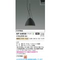 コイズミ照明 AP54938 ペンダント 非調光 LED一体型 電球色 プラグタイプ サテンブラック