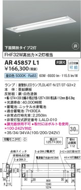 コイズミ照明　AR45857L1　非常用照明 LEDランプ交換可能型 非調光 昼白色 下面開放タイプ2灯 充電モニタ付 埋込穴□1257×300