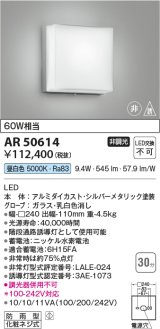 コイズミ照明　AR50614　非常用照明 LED一体型 非調光 昼白色 防雨型 化粧ネジ式 シルバー