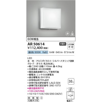 画像1: コイズミ照明　AR50614　非常用照明 LED一体型 非調光 昼白色 防雨型 化粧ネジ式 シルバー