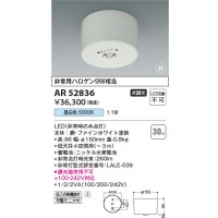 コイズミ照明　AR52836　非常用照明器具 LED一体型 非調光 直付型 昼白色 ホワイト