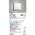 コイズミ照明　AR52844　階段通路誘導灯 LED一体型 非調光 防雨型 昼白色
