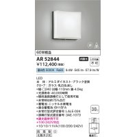 コイズミ照明　AR52844　階段通路誘導灯 LED一体型 非調光 防雨型 昼白色
