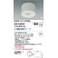 コイズミ照明　AR52850　住宅用非常灯専用型照明器具 LED一体型 非調光 直付型 電池内蔵形 昼白色 ホワイト