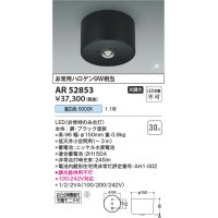 コイズミ照明　AR52853　住宅用非常灯専用型照明器具 LED一体型 非調光 直付型 電池内蔵形 昼白色 ホワイト