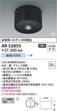 コイズミ照明　AR52853　住宅用非常灯専用型照明器具 LED一体型 非調光 直付型 電池内蔵形 昼白色 ホワイト