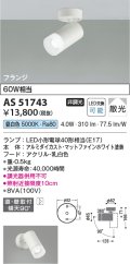 コイズミ照明　AS51743　スポットライト 非調光 LEDランプ 昼白色 散光 フランジタイプ マットホワイト