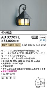 コイズミ照明　AU37709L　ポーチライト 壁 ブラケットライト 白熱球40W相当 LED付 電球色 防雨型