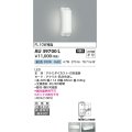 コイズミ照明　AU39700L　勝手口灯 壁 ブラケットライト 天井直付・壁付両用型 FL10W相当 LED一体型 昼白色 防雨型 ホワイト [∽]