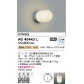コイズミ照明　AU40443L　軒下シーリング 勝手口灯 天井直付・壁付両用型 白熱球60W相当 LED付 電球色 防雨型 シルバー