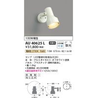 コイズミ照明　AU40625L　アウトドアスポットライト 白熱球100W相当 LED付 電球色 防雨型 ホワイト