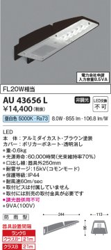 コイズミ照明　AU43656L　防犯灯 LED一体型 昼白色 防雨型 ブラウン