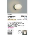 コイズミ照明　AU44846L　勝手口灯 ブラケットライト 天井直付・壁付取付 LED付 電球色 防雨型 ウォームシルバー