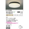 コイズミ照明　AU45016L　軒下シーリング 天井直付・壁付取付 LED一体型 電球色 防雨・防湿型 ブラック