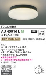 コイズミ照明　AU45016L　軒下シーリング 天井直付・壁付取付 LED一体型 電球色 防雨・防湿型 ブラック