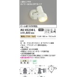 コイズミ照明　AU45238L　アウトドアスポットライト 人感センサ タイマー付ON-OFFタイプ LED一体型 電球色 防雨型