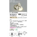 コイズミ照明　AU45241L　アウトドアスポットライト 人感センサ タイマー付ON-OFFタイプ LED一体型 電球色 防雨型