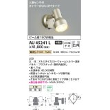 コイズミ照明　AU45241L　アウトドアスポットライト 人感センサ タイマー付ON-OFFタイプ LED一体型 電球色 防雨型