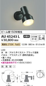 コイズミ照明　AU45243L　アウトドアスポットライト LED一体型 電球色 防雨型 ブラック