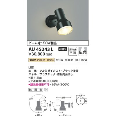 画像1: コイズミ照明　AU45243L　アウトドアスポットライト LED一体型 電球色 防雨型 ブラック