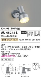 コイズミ照明　AU45244L　アウトドアスポットライト LED一体型 電球色 防雨型 シルバーメタリック