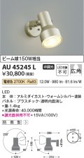 コイズミ照明　AU45245L　アウトドアスポットライト LED一体型 電球色 防雨型 ウォームシルバー